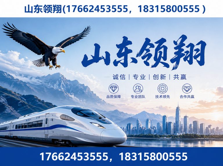 北海山东领翔展示图